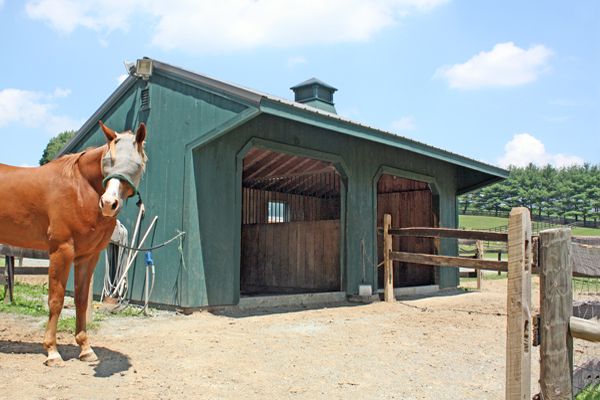 12x24 Horse Barn Run-in Shed with 4' Overhang, Two Openings